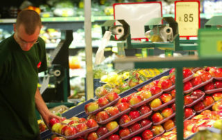 Top 4 des jobs étudiants